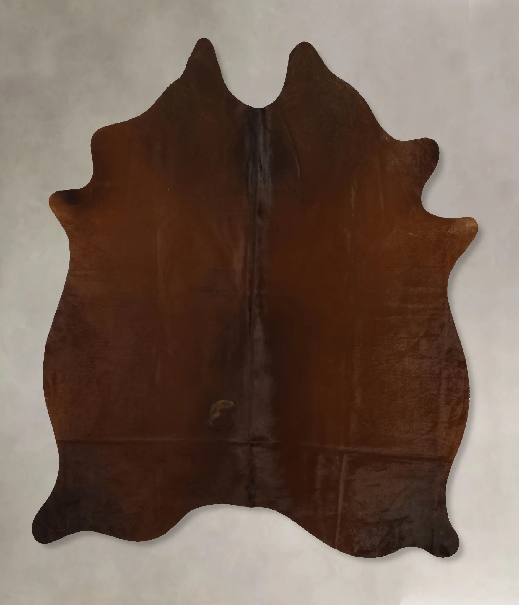 Warm Caramel Large Brazilian Cowhide Rug 6'3"H x 5'9"W #B11776 by Hudson Hides