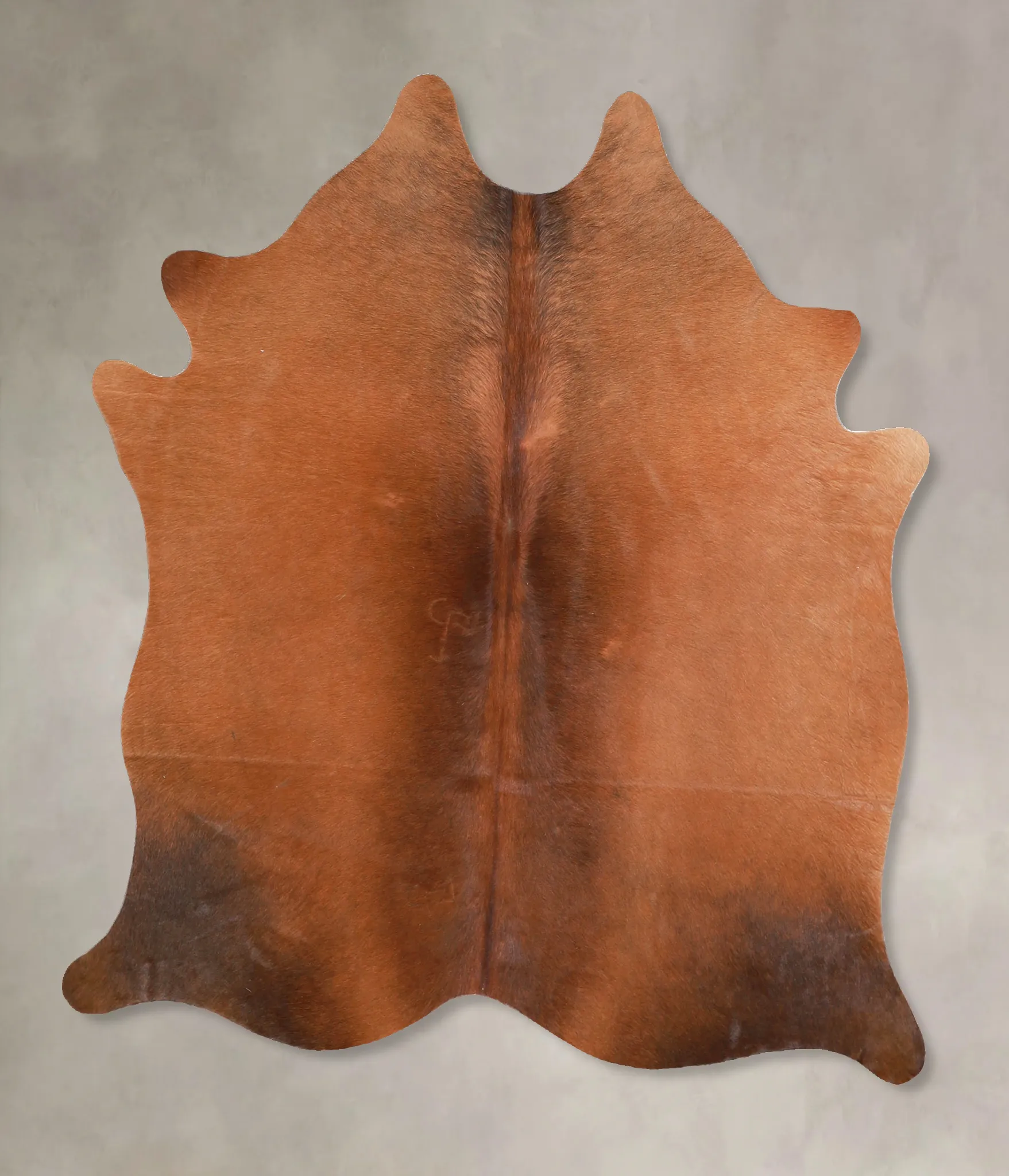 Warm Caramel Medium Brazilian Cowhide Rug 5'0"H x 4'10"W #A34844 by Hudson Hides