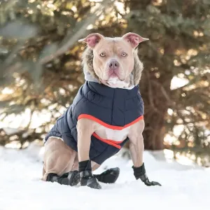 Winter Sailor Dog Parka, Sherpa Fleece Lining - Navy