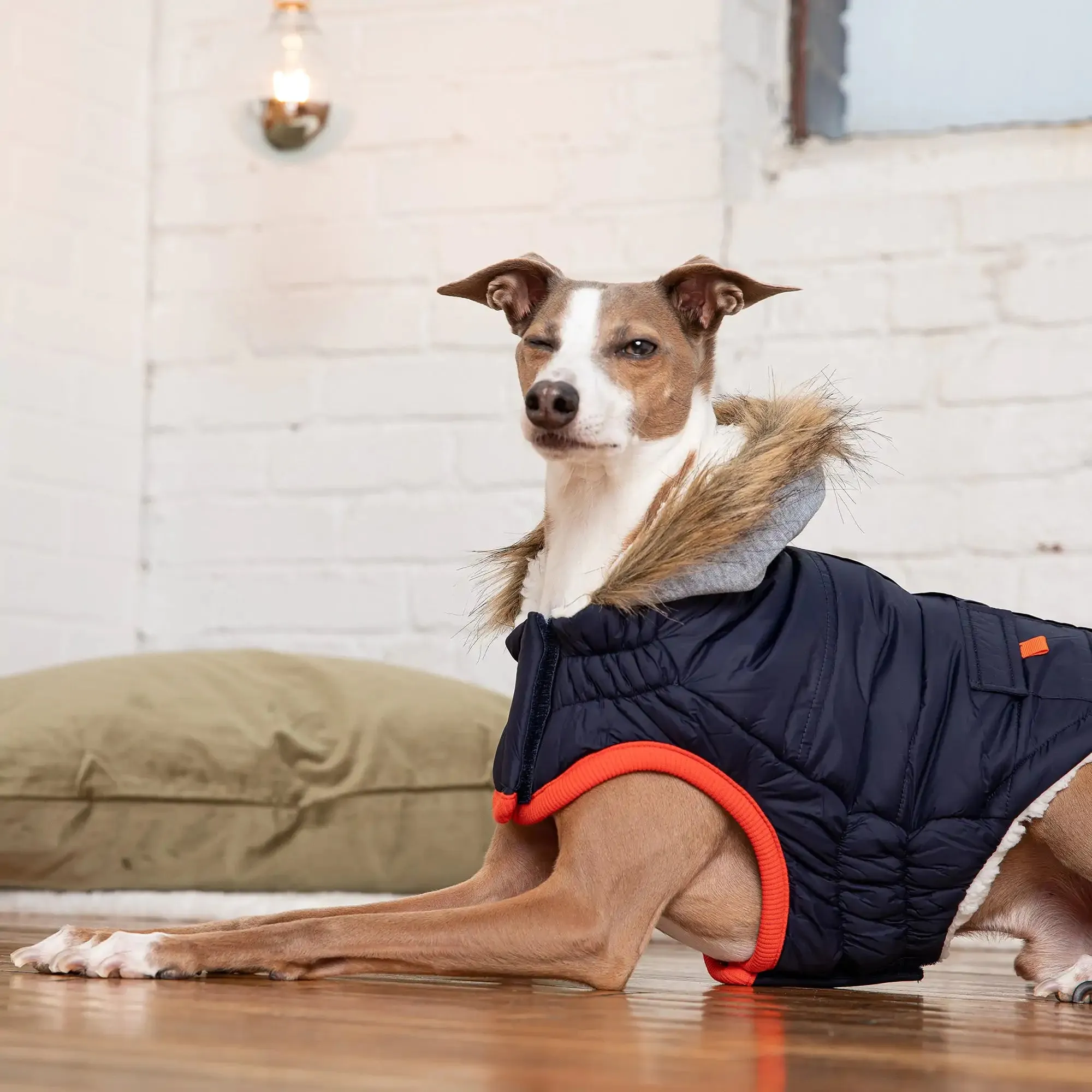 Winter Sailor Dog Parka, Sherpa Fleece Lining - Navy