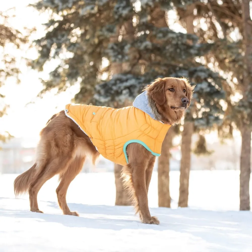 Winter Sailor Parka in Yellow